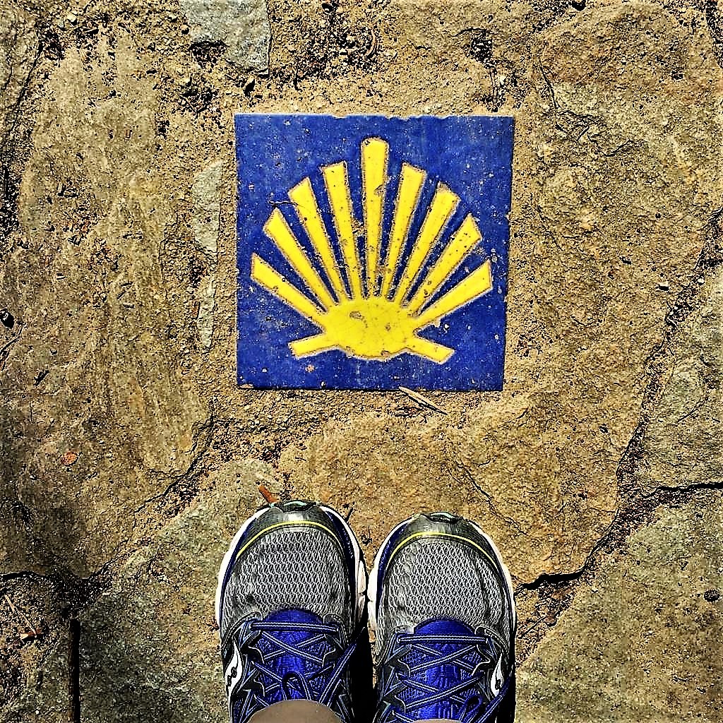 Camino shell and shoes