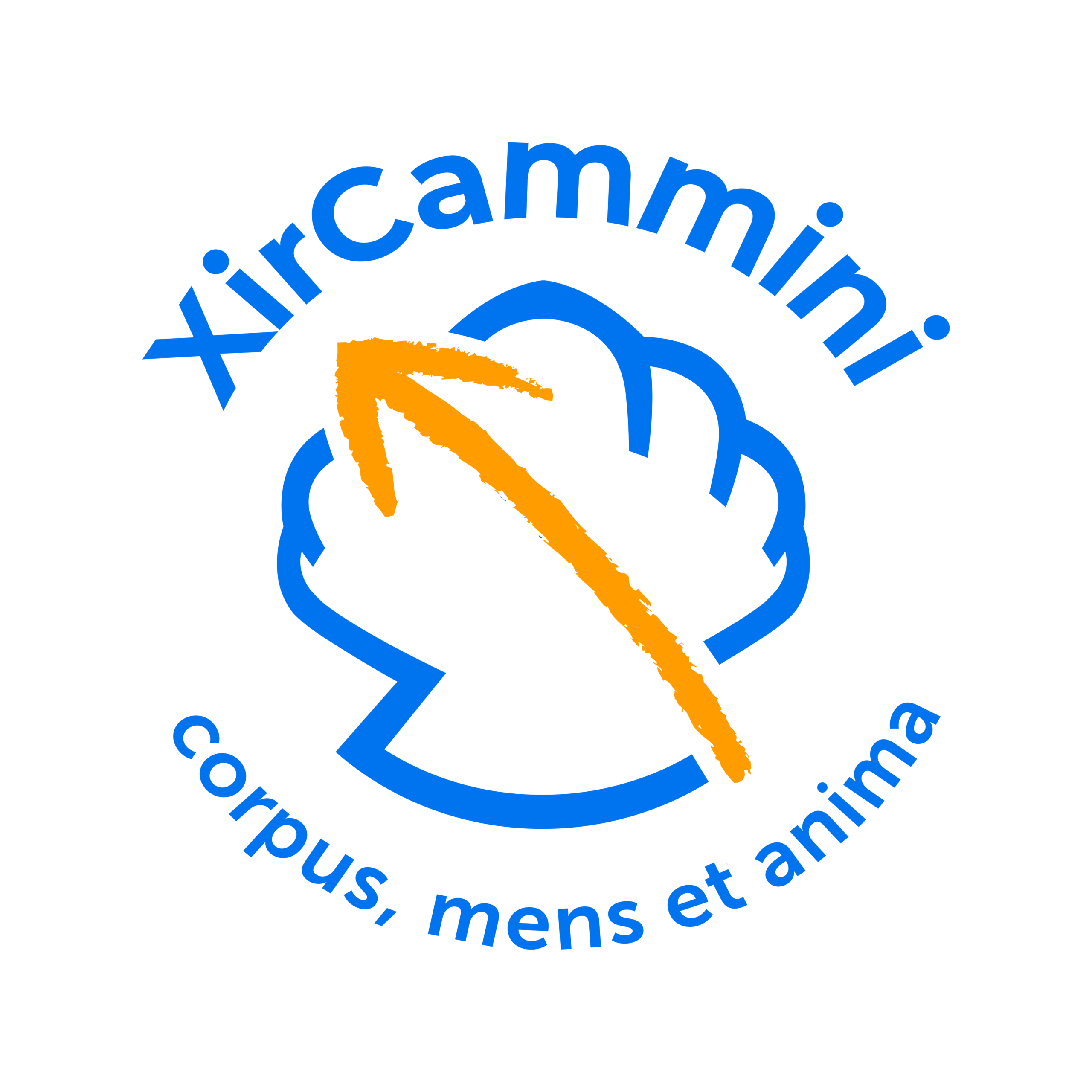 XirCammini logo