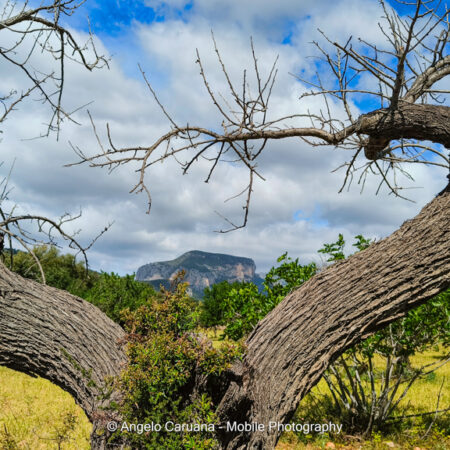 Camino de Lluc, Mallorca