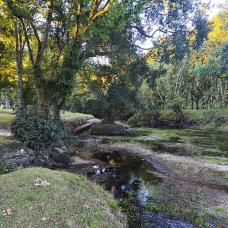 Camino Norte: Vilalba to Santiago de Compostela