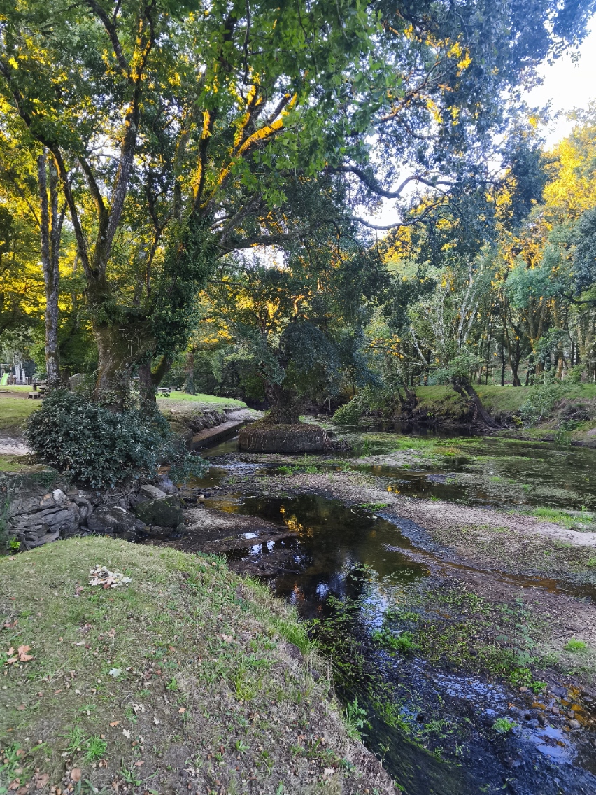 Camino Norte: Vilalba to Santiago de Compostela